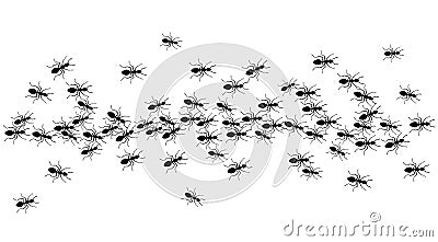 Ants trail, line of working ants on white background. Groups of insect marching or walking down the road. Insect colony Vector Illustration