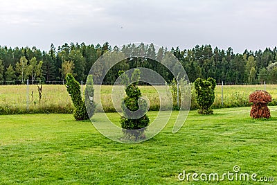 Rabbit, swan, vase and mushroom shaped bushes in a topiary garden. Editorial Stock Photo