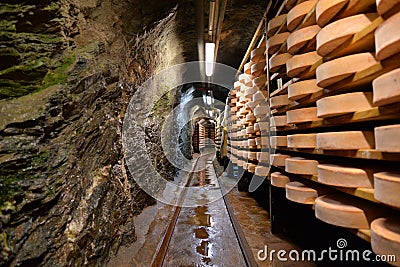 Aosta valley Fontina Italian cheese. Traditional cave aging storage. Stock Photo