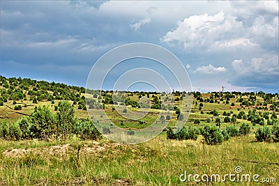 Apache-Sitgreaves National Forest, Forest Service Road 51, Arizona, United States Stock Photo