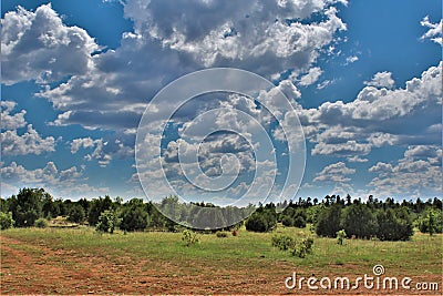 Apache-Sitgreaves National Forest, Forest Service Road 51, Arizona, United States Stock Photo