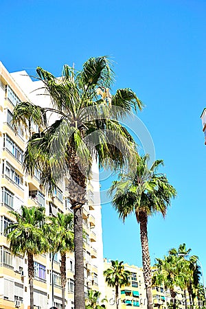 apartment blocks in Benalmadena marina, Spain Editorial Stock Photo