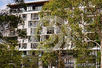 Apartment Building through the Trees Stock Photo