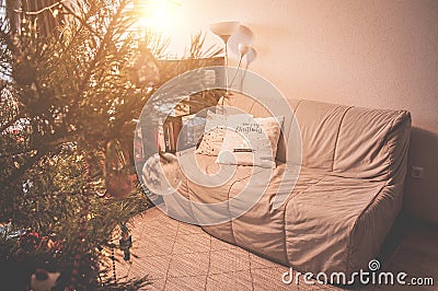 Apartment decorated with Christmas pillows. Cozy festive background. Toned Stock Photo