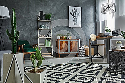 Apartment with decorative cactus Stock Photo