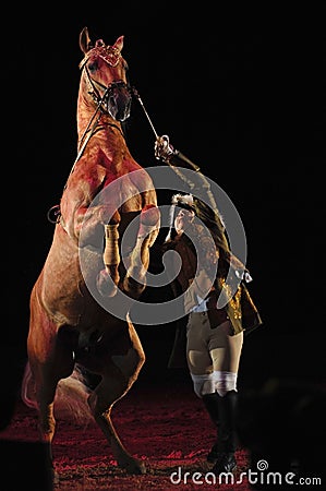 Apassionata horse show Editorial Stock Photo