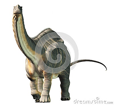 Apatosaurus Stock Photo