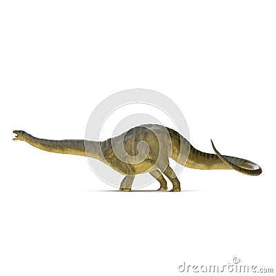 Apatosaurus Dinosaur on white. Side view. 3D illustration Cartoon Illustration