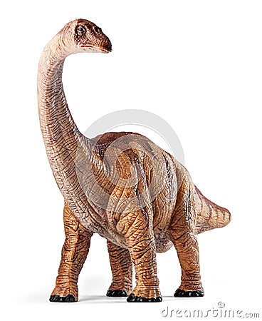 Apatosaurus dinosaurs toy isolated with clipping path. Stock Photo