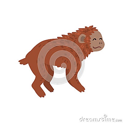 Ape, Monkey Animal Progress Stage, Evolutionary Process of Woman Vector Illustration Vector Illustration