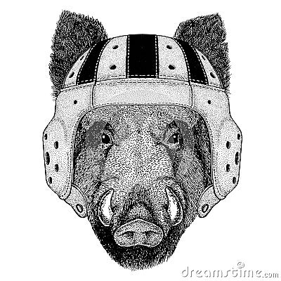 Aper, boar, hog, hog, wild boar Wild animal wearing rugby helmet Sport illustration Vector Illustration