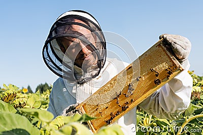 apiarist in beekeeping suit holding honeycomb Stock Photo