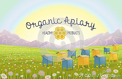 Apiary in alpine meadows in mountains. Honey Farm. Beehive set. Bee honeycomb. Stock Photo