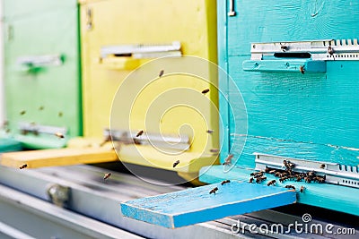 Close Up of Hive Boxes in Apiary Stock Photo