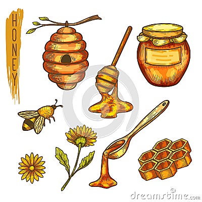 Apiculture honey and bee, honeycomb and hive,spoon Vector Illustration