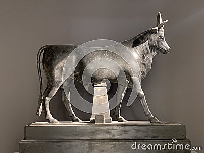 Apis bull (deity) Stock Photo