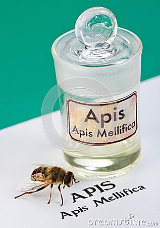 Apis Mellifica sheet, the bee and poison extract Stock Photo
