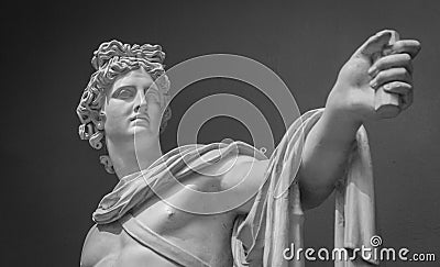 Apollo Belvedere statue Detail Editorial Stock Photo