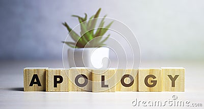 Apology - word from wooden blocks with letters, sorry concept, random letters around, white background. Stock Photo