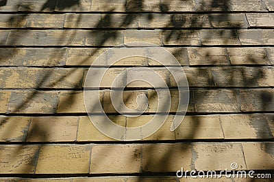 Apparent brick exterior wall with shadows of tree leafy branches on it Stock Photo