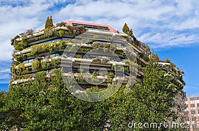 Appartment building covered by climbing plant - creeper Stock Photo