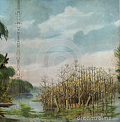 Appearance of the vegetation of a mid-Carboniferous landscape with the most important plant forms of this terrestrial period, Cartoon Illustration