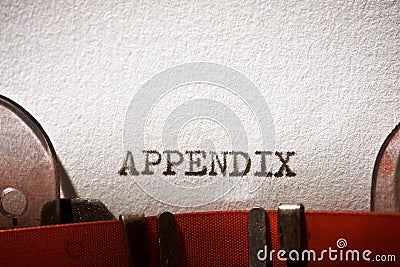 Appendix concept view Stock Photo