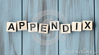 APPENDIX word made with building blocks Stock Photo