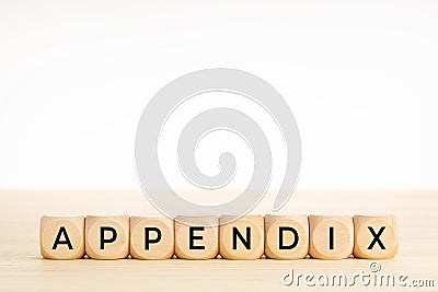 APPENDIX word on wooden blocks on wood table Stock Photo