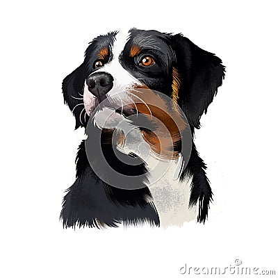 Appenzeller Sennenhund dog digital art illustration isolated on white. Medium-size breed regional breeds of Sennenhund Cartoon Illustration