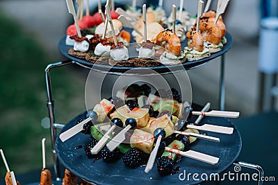Appetizers on plates. Catering service. Wedding welcome food. Stock Photo