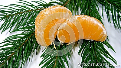 Appetizing bright orange slices of tangerines lie on a beautiful green branch of a tree on a white background. 7659 Stock Photo