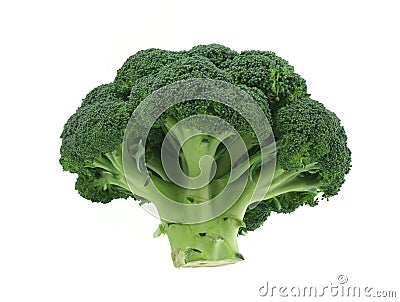 Appetizing broccoli on pure white background Stock Photo