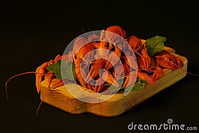 Red appetizing fresh crayfish decorated with green leaves on natural wooden tray on black background. Concept - gourmet, food, Stock Photo