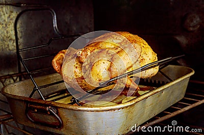 appetizing roast turkey and potatoes in the oven Stock Photo