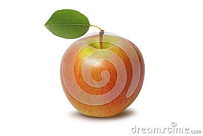 Apple Stock Photo