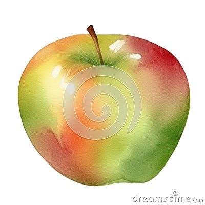 Apple fruit watercolor illustration Cartoon Illustration