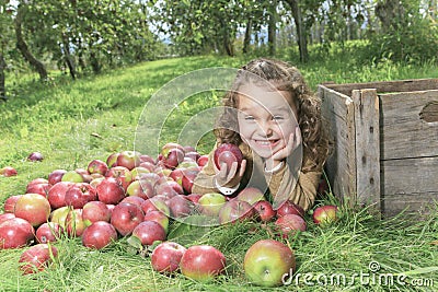 Apple on beautiful autumn Stock Photo