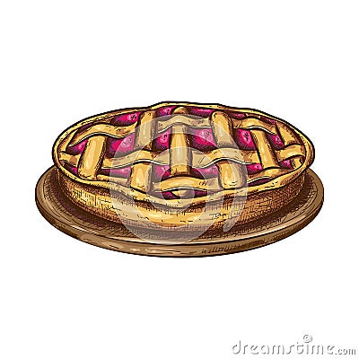 Apple or berries pie sketch, tart or cake on plate isolated on white. colored illustration of traditional fall pastry in Cartoon Illustration