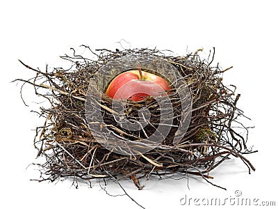 Apple in a Bird Nest with isilated on white background. Stock Photo