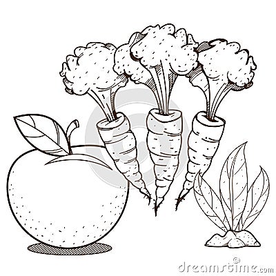 Apple, carrot, and tobacco. Farming. Agricultural business. Outline drawing for coloring Stock Photo