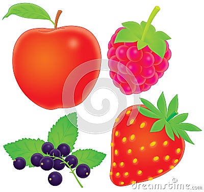 Apple, currants, raspberry, strawberry Cartoon Illustration