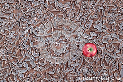 An apple on a dried and cracked desert soil. Food insecurity, famine, desertification, hunger and drought concept. Stock Photo