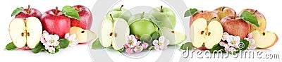 Apple fruit apples fruits in a row slice sliced isolated on whit Stock Photo