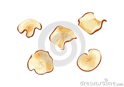 Apple fruit chips dry crips slice. Organic food baked delicious. Vector illustration Vector Illustration