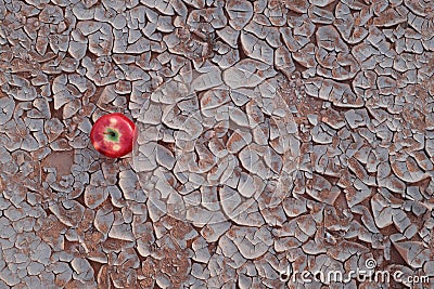 An apple fruit on a dry and cracked desert soil. Food insecurity, drought and climate change concept Stock Photo