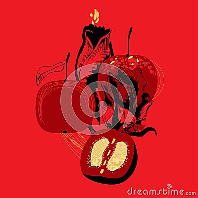 Apple fruits and roses artistic composition Vector Illustration