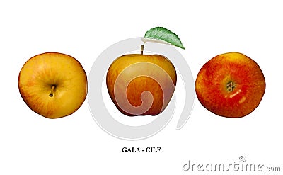 Apple Gala (Chile) isolated on white. Three points of view Stock Photo