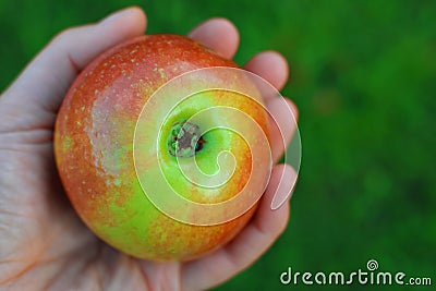 Apple in hand Stock Photo