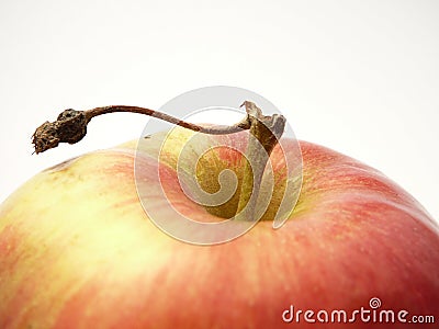 Apple. Stock Photo